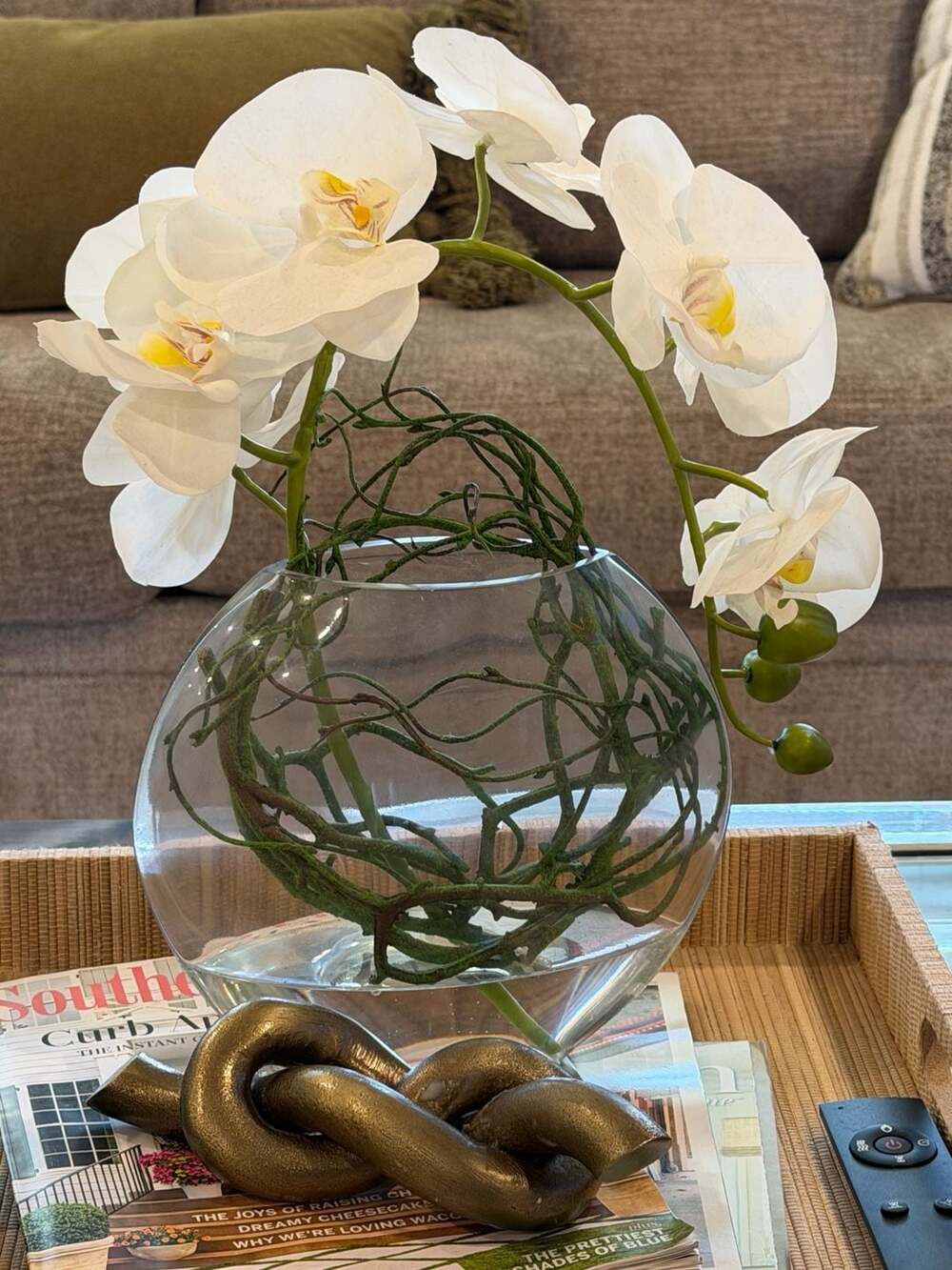 Primrue Organic Modern Arrangement with Orchids and Hydrangeas & Reviews